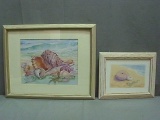 2 Framed & Matted Pictures of Sea Shells approx. 13