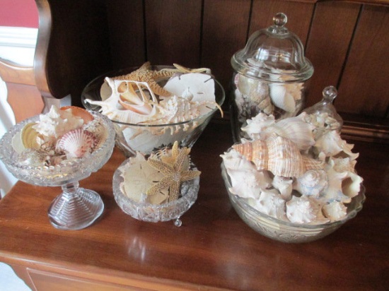 Collection of Seashells in Glass Bowls and Apothecary Jar