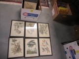 Sixteen Framed Bird Prints
