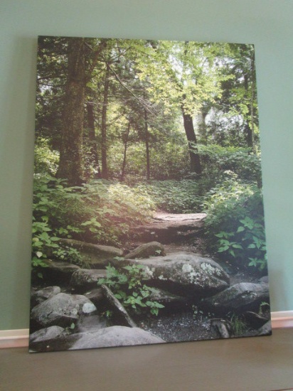 Photo Print on Stretched Canvas Signed by Darin Randell