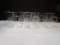 Five Schott Malnz Cups