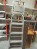 Werner Model 366 Aluminum Step Ladder