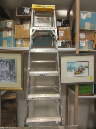 Werner 8 foot aluminum step ladder