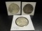 3  Morgan Silver Dollars