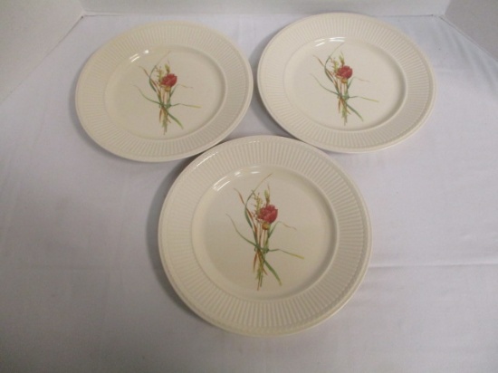 Three Edme Posy Queen's Ware Dinner Plates