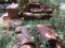 Large Lot of Ludowici Clay Roof Tiles