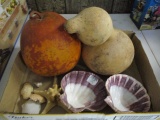 Gourds, Seashells