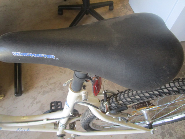 Schwinn 1c3 top