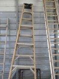 Werner Fiberglass 10' Step Ladder