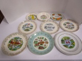 Nine Souvenir Plates