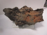 Large Volcanic Lava Rock with Acrylic Stand