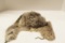 German WWII Luftwaffe Rabbit Fur Hat