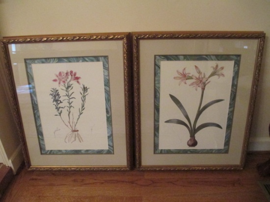 Pair of Framed and Matted Botanical Prints