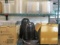 Contents of 2 Shelves - Plastic Trays and Bowls with Lids, Aluminum Containers