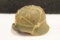 WWII M35 Hungarian Helmet w/ OG Liner/Strap/Net - Original 45th Div Vet Bringback
