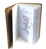 *Interesting Civil War Diary with Amazing Penmanship- 97 Pages 1861-1862 by Alf Davenport