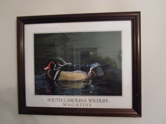 Framed "South Carolina Wildlife Magazine" Print