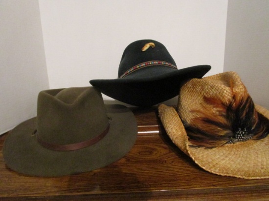 Wool Felt Jhats, Felt Scala Hat and Straw Hat with Feather Hat Band