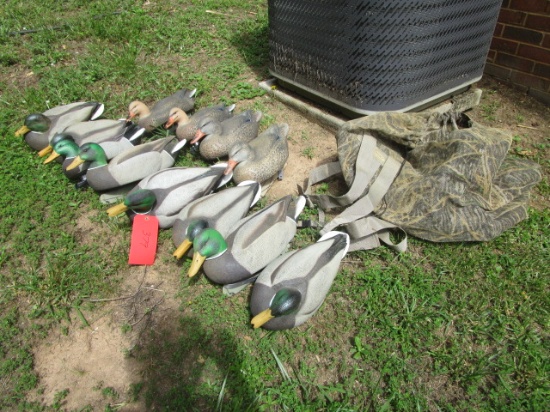 12 Duck Decoys with Bags