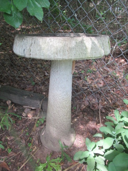 Concrete Bird Bath