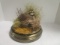 The Wildlife Collection, Inc. Full Body Quail Mount Taxidermy