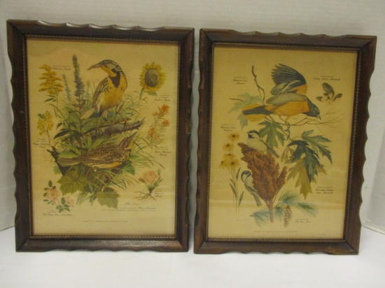 Vintage Arthur Singer Number 7 and 8 State Bird Lithograph Prints