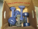 Pair of 8lb Weights, Pair of 5lb Weights, Pair of 3lb Weights and Pair of 2lb Weights