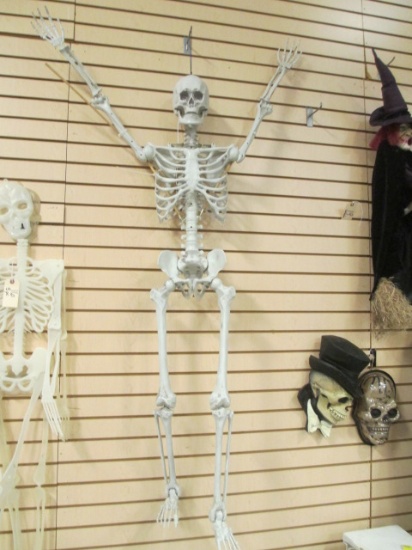 Hard Plastic Positional Skelton Halloween Decoration