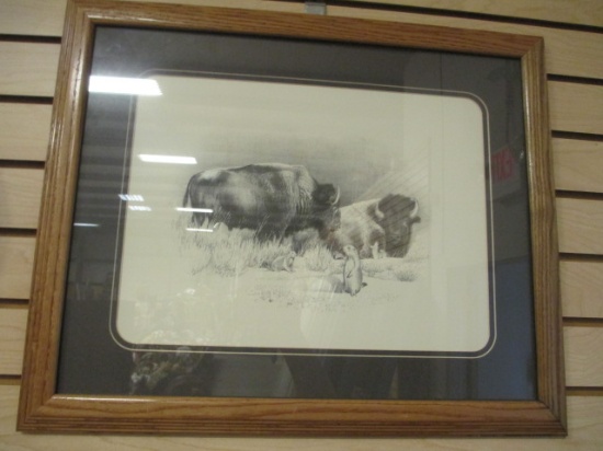 Framed Buffalo and Ground Squirrel Print by Dallen Lambson