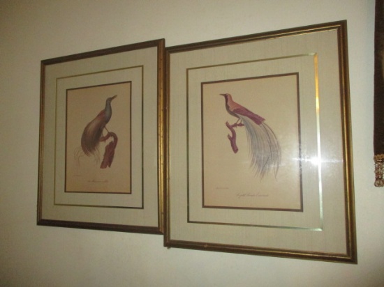 Pair of Framed and Matted Bird Prints