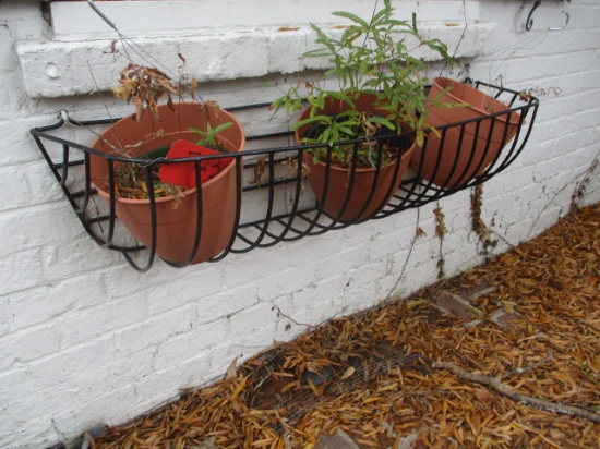 Black Vinyl Coated Wire Wall Hanging Planter Basket and Three Flower Pots
