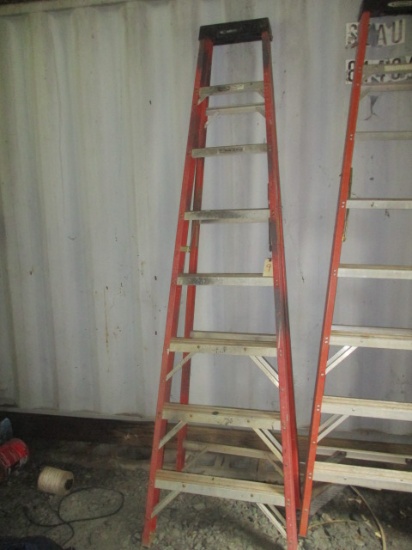 Werner 8' Electro-Master FIA08 Step Ladder