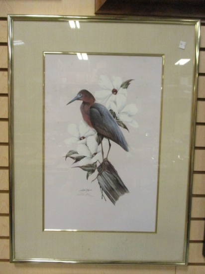 Framed And Matted Bird Print.  Signed And Dated.  A. May, 170/1700