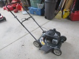 MTD Bolens 20