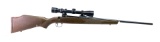 Savage Model 110 Cal. 22-250 Rem. Bolt Action Hunting Rifle with Scope