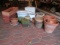 Pottery, Terra Cotta, and Plastic Planters