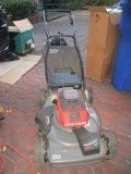 Craftsman 22