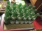 18 - 12 Oz. Nehi Ginger Ale Bottles  - RC Bottling, Greenville, SC