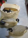 Large Box of Shell Goose Decoys