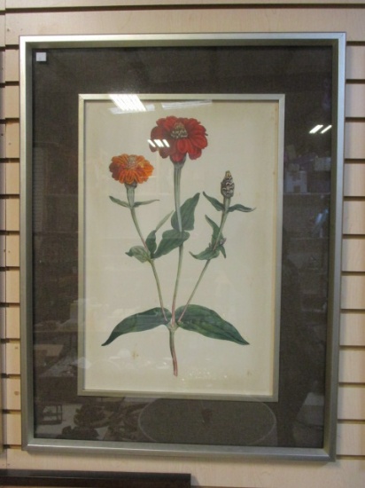 Framed, Burlap Matted Flowering Botanical Print