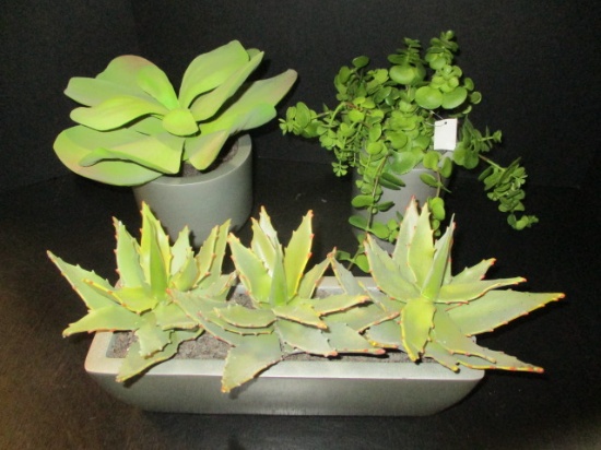 Three Crate & Barrel Artificial Succulents in Bowls