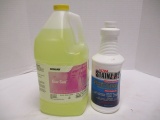 1 Gallon Ecolab Eco-San And 32 Oz. Ultra Stainz-R-Out Stain Remover