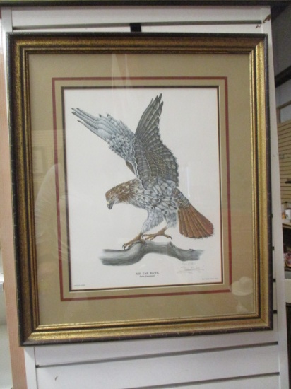 Framed And Matted Red Tail Hawk Print By Tony Biagi.  Signed