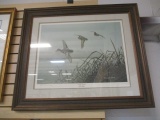 Limited Edition Signed And Numbered 