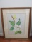 Signed Original Magnolia Blossom Artwork by HJ Thiele