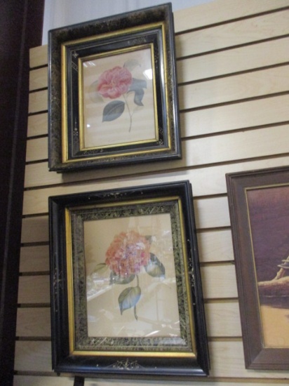 Pair Of Nicely Framed Botanical Prints With Gilded Detailing