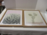 Cactus and Succulent Framed and Matted Prints