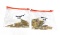 32rds. of .223 Remington 55gr. FMJ Brass Ammunition