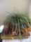 Lidded Box, Artificial Greenery in Planters, Pillar Candles and Artificial