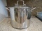Salt 12 Quart Stainless Steel Stock Pot with Lid